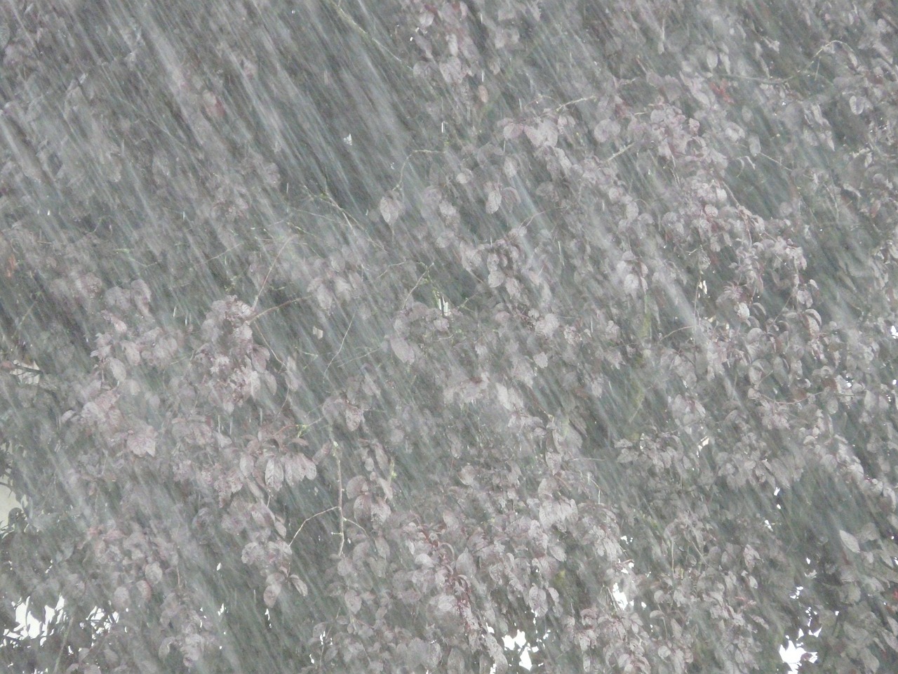 黑龙江哪里大暴雨？我连夜查了气象数据，这几个地方雨下得吓人
